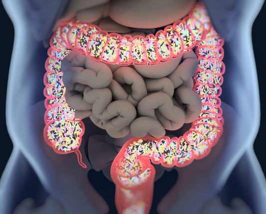 Hippocrates hypothesised that all disease begins in the gut…