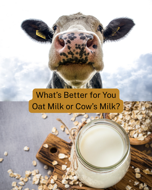Protein from Oat Milk breaks down faster than Protein from Cow's Milk in Women's Stomachs