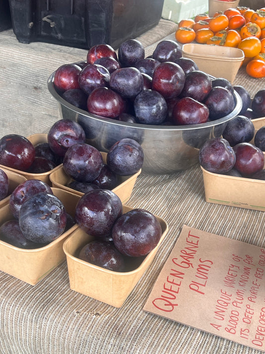 Aussies Plumming New Depths