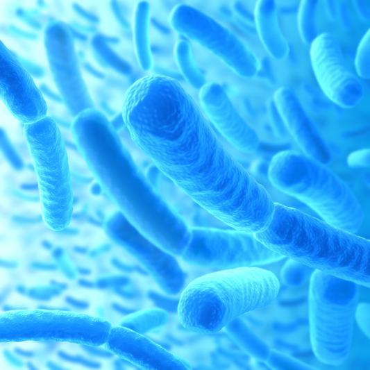Gut Instincts 🔥 How long does it take to reboot your Microbiome?
