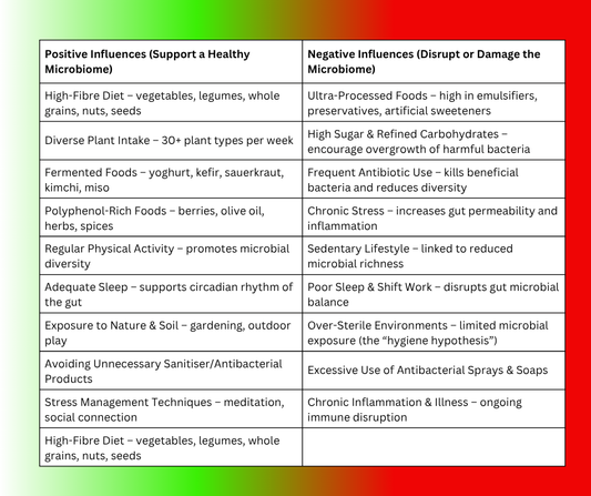Your Gut: An Ecosystem on a Leash 🌳