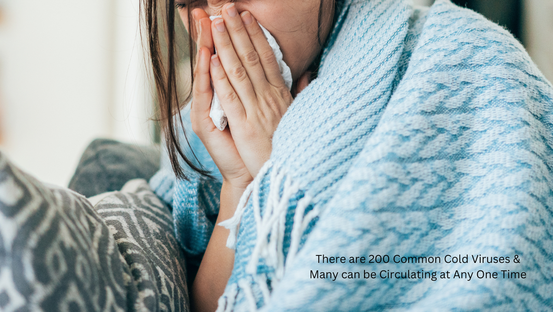 The Viruses Lurking that Cause the Common Cold