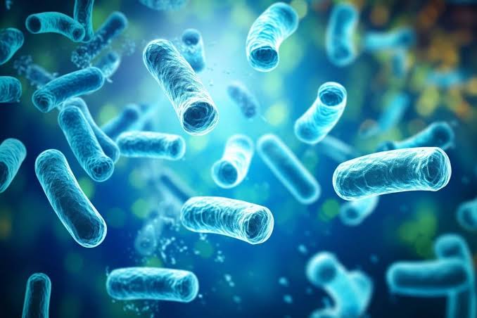 Can probiotics help with viral infections — or is it hype?