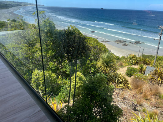 Resilience Inspiration from Nature 🌳