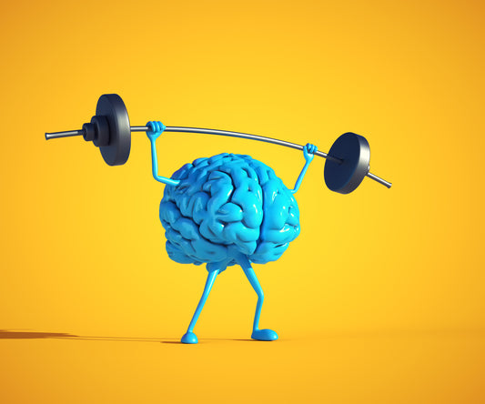 The aging brain