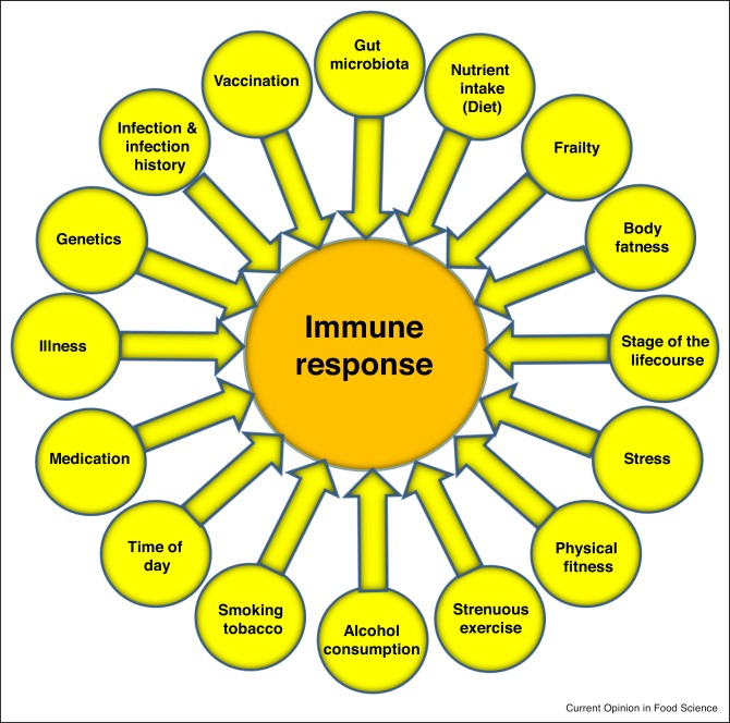 Eating for Immunity